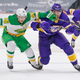 There was a whole lot of color in the Wild-Kings game last night.